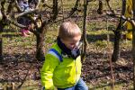 images/Fotoalbums/Paas2018/DSC_0220.jpg