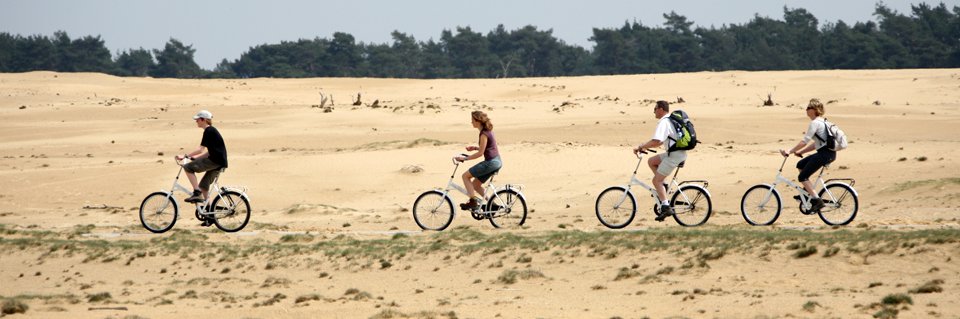 hoge veluwe 2